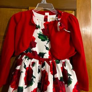 Beautiful Gymboree floral holiday dress set